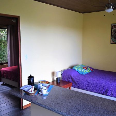 Arenal Villas Tranquilas, Free-Standing Equipped Houses Нуэво-Ареналь Экстерьер фото