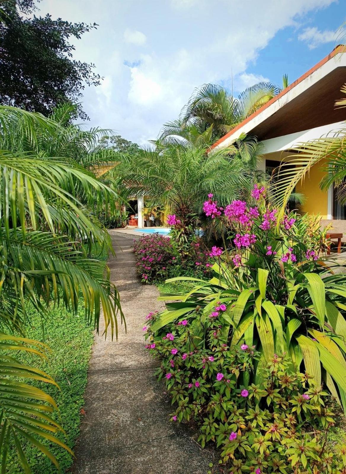 Arenal Villas Tranquilas, Free-Standing Equipped Houses Нуэво-Ареналь Экстерьер фото